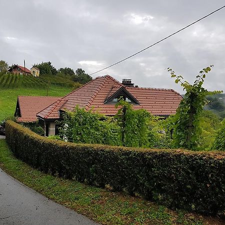 Wine & Nature & Tour Zgornji Leskovec Kültér fotó