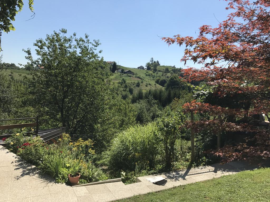 Wine & Nature & Tour Zgornji Leskovec Kültér fotó