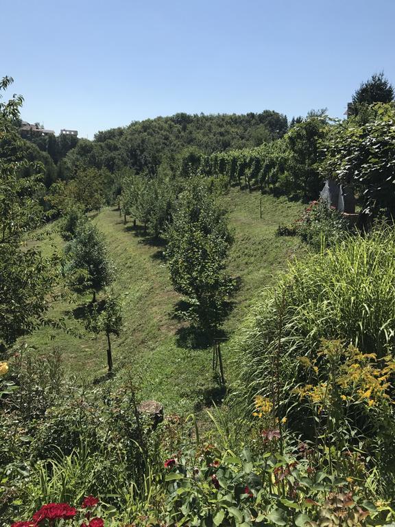 Wine & Nature & Tour Zgornji Leskovec Kültér fotó
