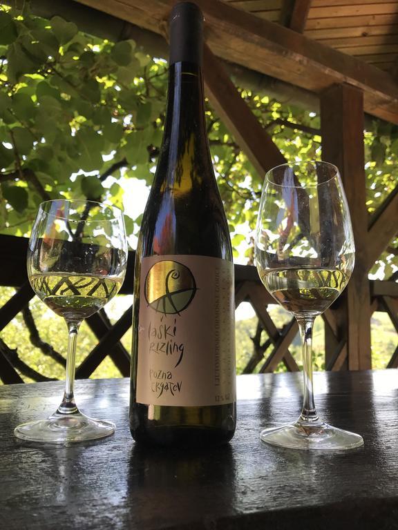 Wine & Nature & Tour Zgornji Leskovec Kültér fotó
