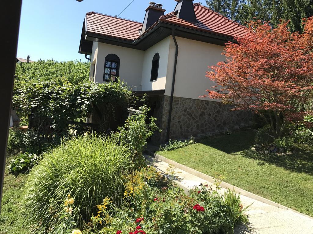 Wine & Nature & Tour Zgornji Leskovec Kültér fotó
