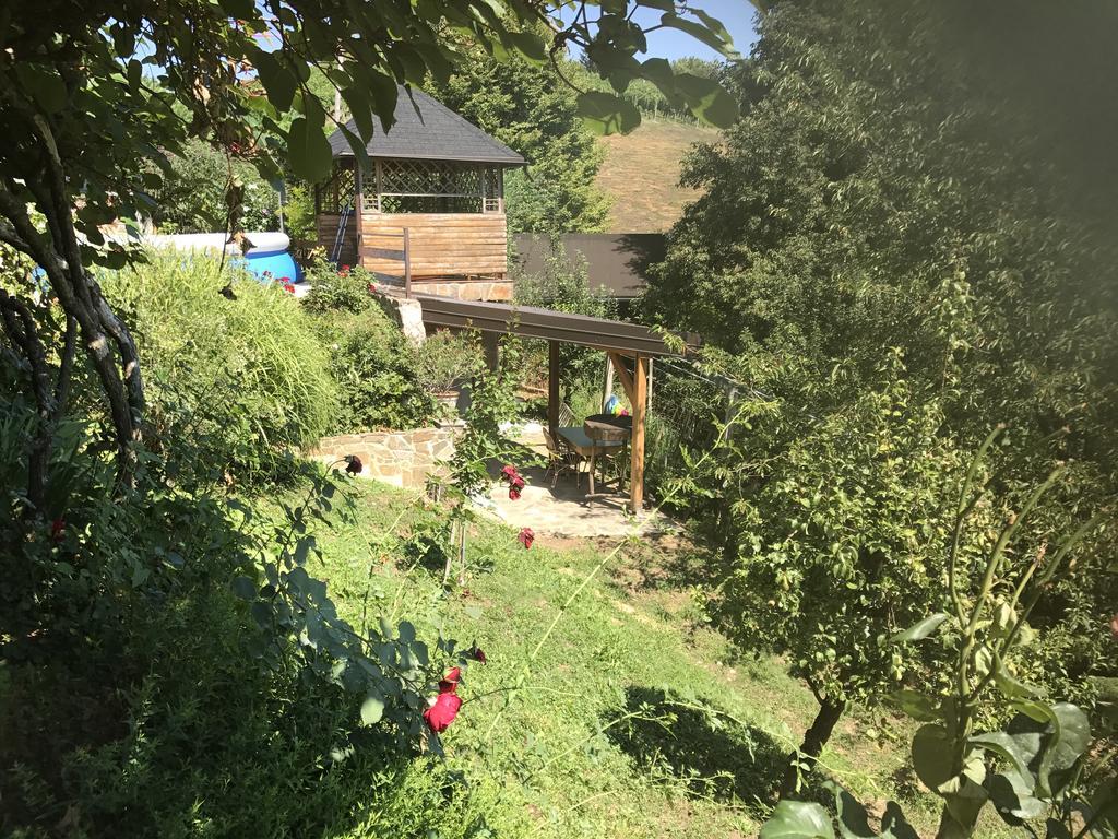 Wine & Nature & Tour Zgornji Leskovec Kültér fotó
